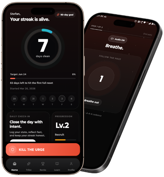 SEVER: Quit porn, Build Discipline